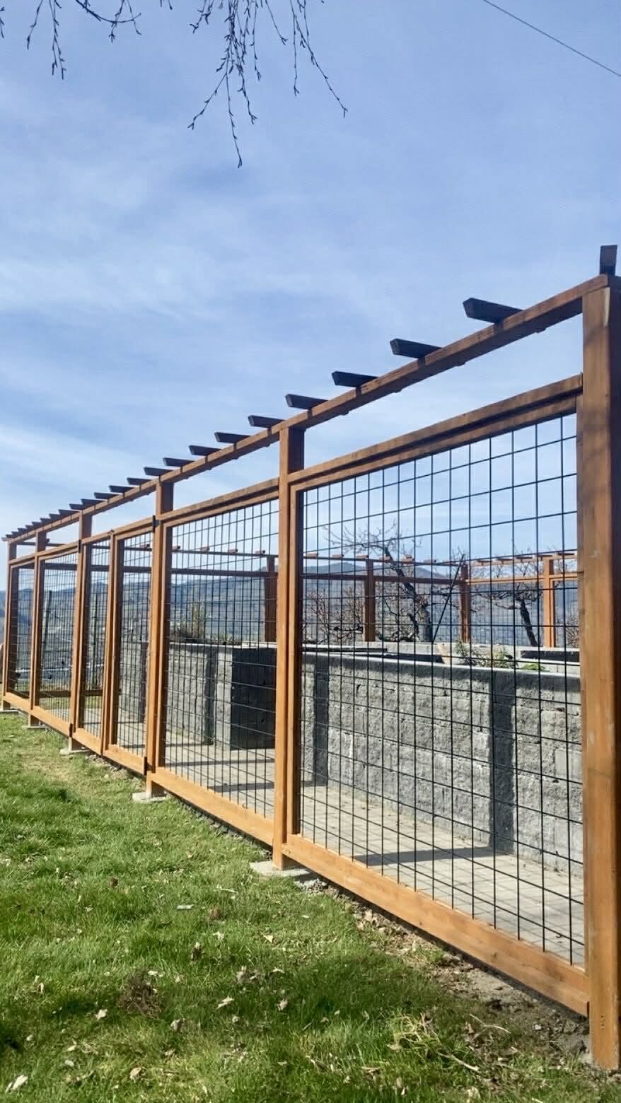 Deer proof garden enclosure with hog wire panels and a cedar pergola top in Chelan