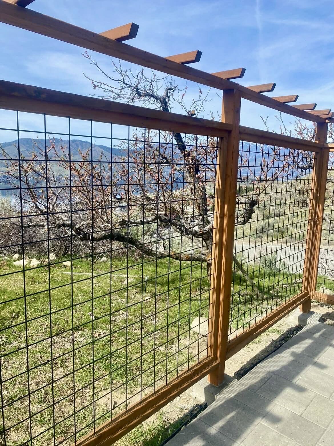 Deer proof garden enclosure with hog wire panels and a cedar pergola top in Chelan