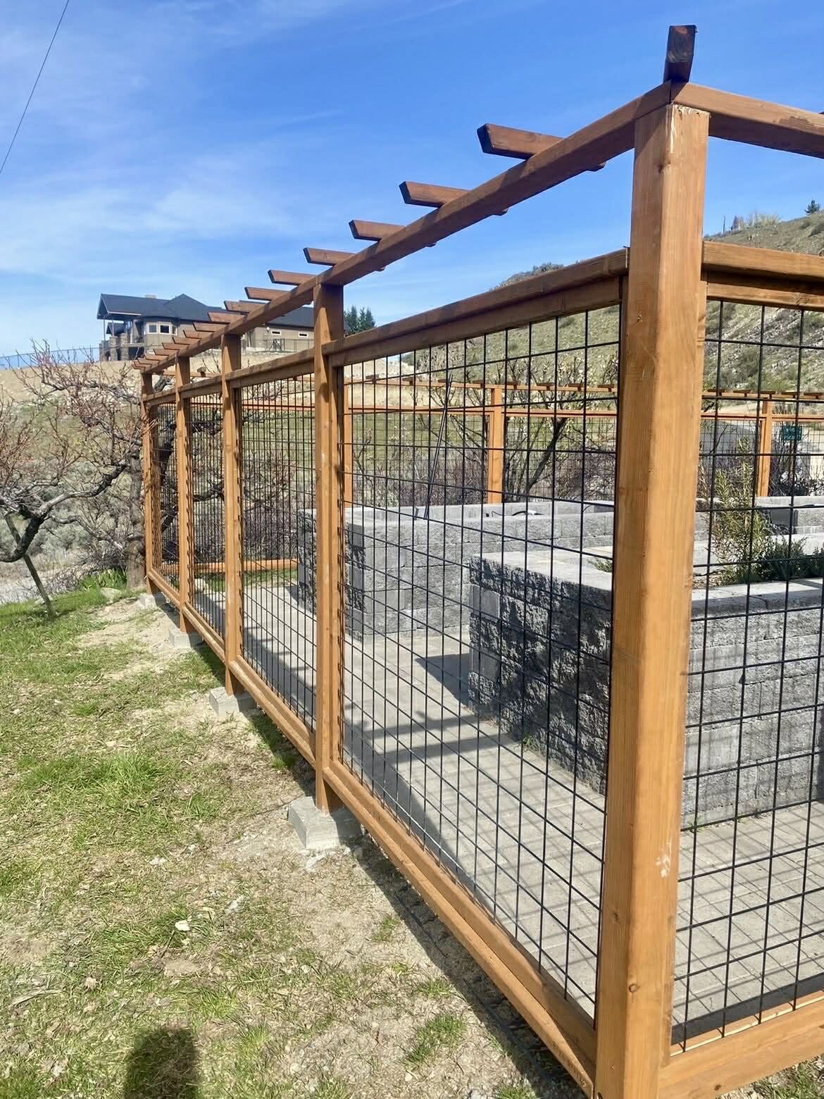 Deer proof garden enclosure with hog wire panels and a cedar pergola top in Chelan