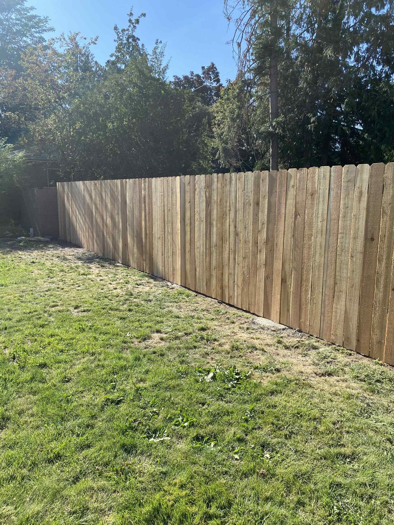 Cedar privacy fence installed in a Wenatchee Valley backyard