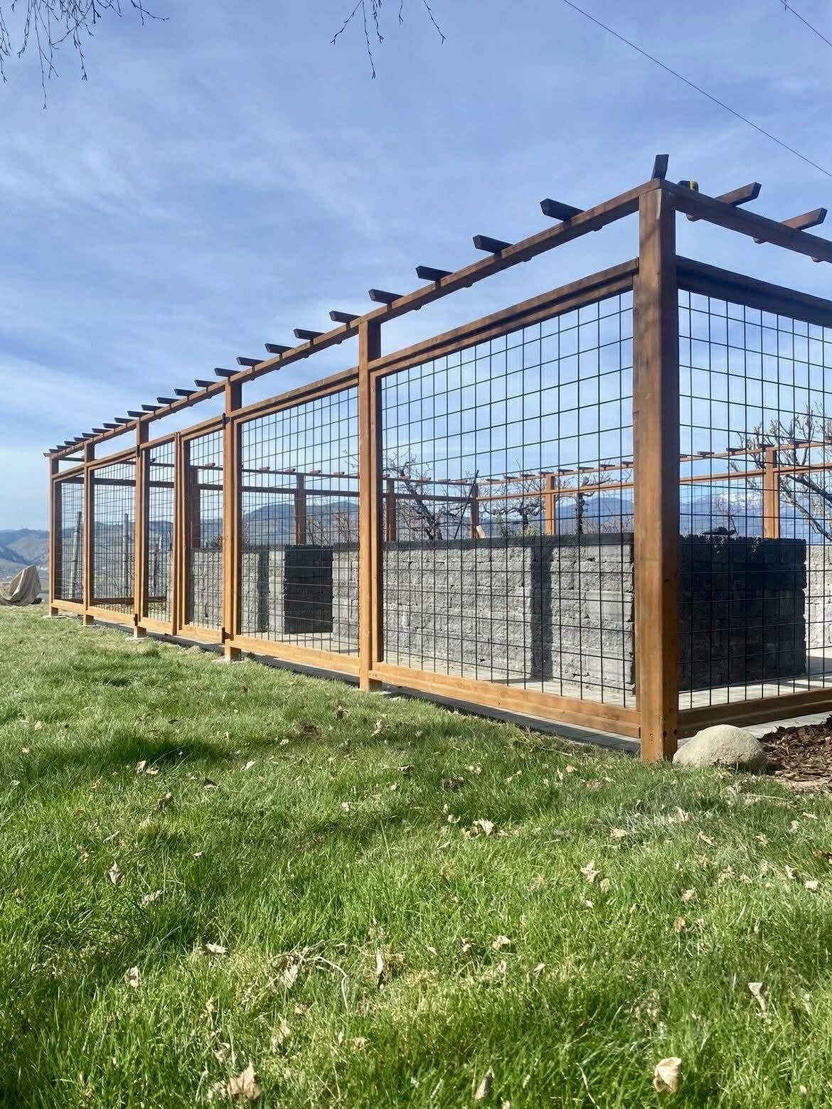 Deer proof garden enclosure with hog wire panels and a cedar pergola top in Chelan