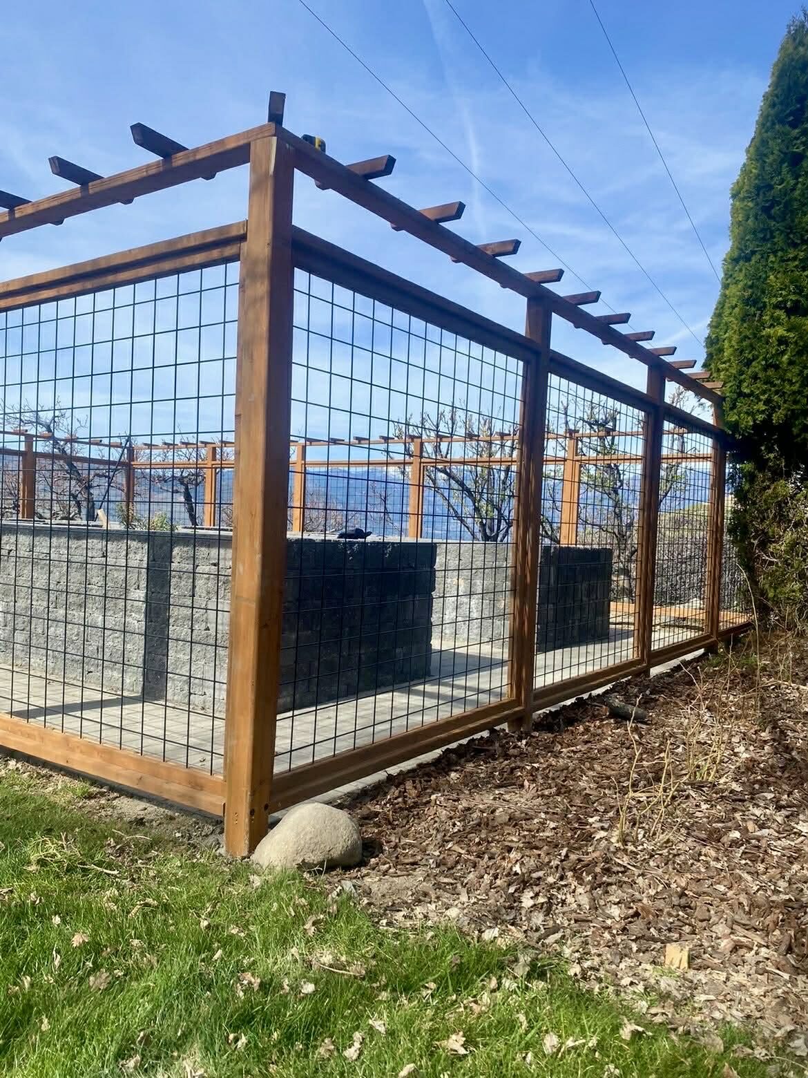 Deer proof garden enclosure with hog wire panels and a cedar pergola top in Chelan