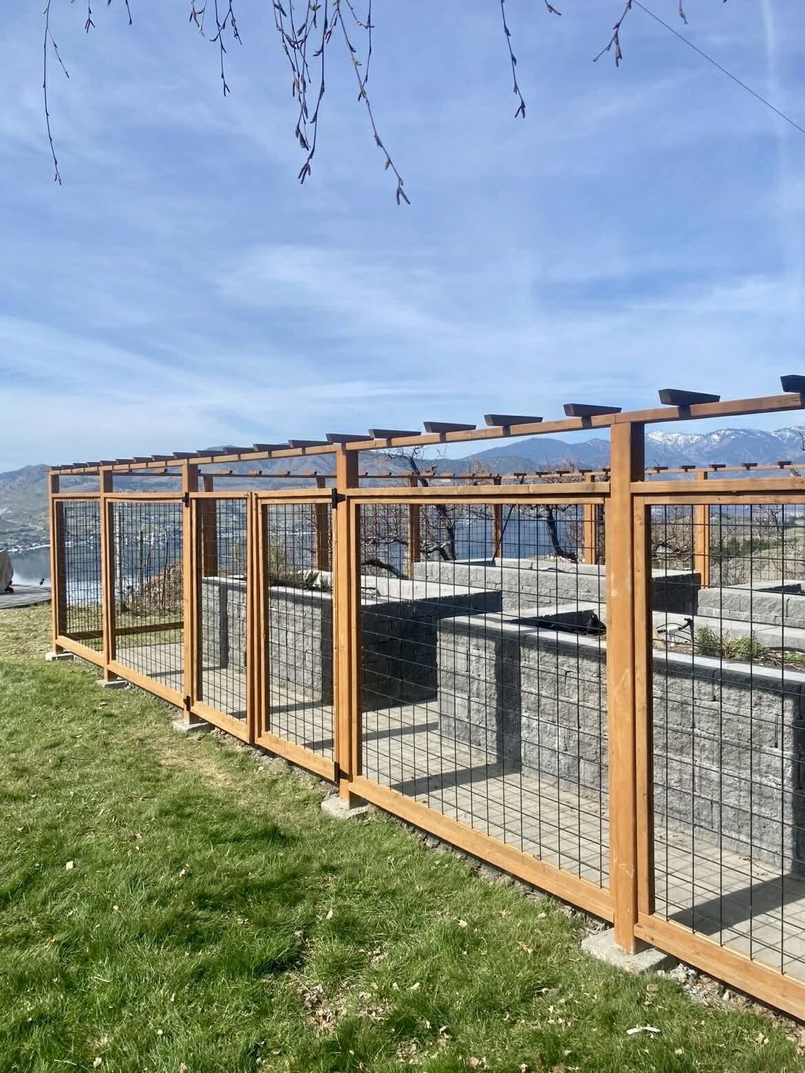 Deer proof garden enclosure with hog wire panels and a cedar pergola top in Chelan