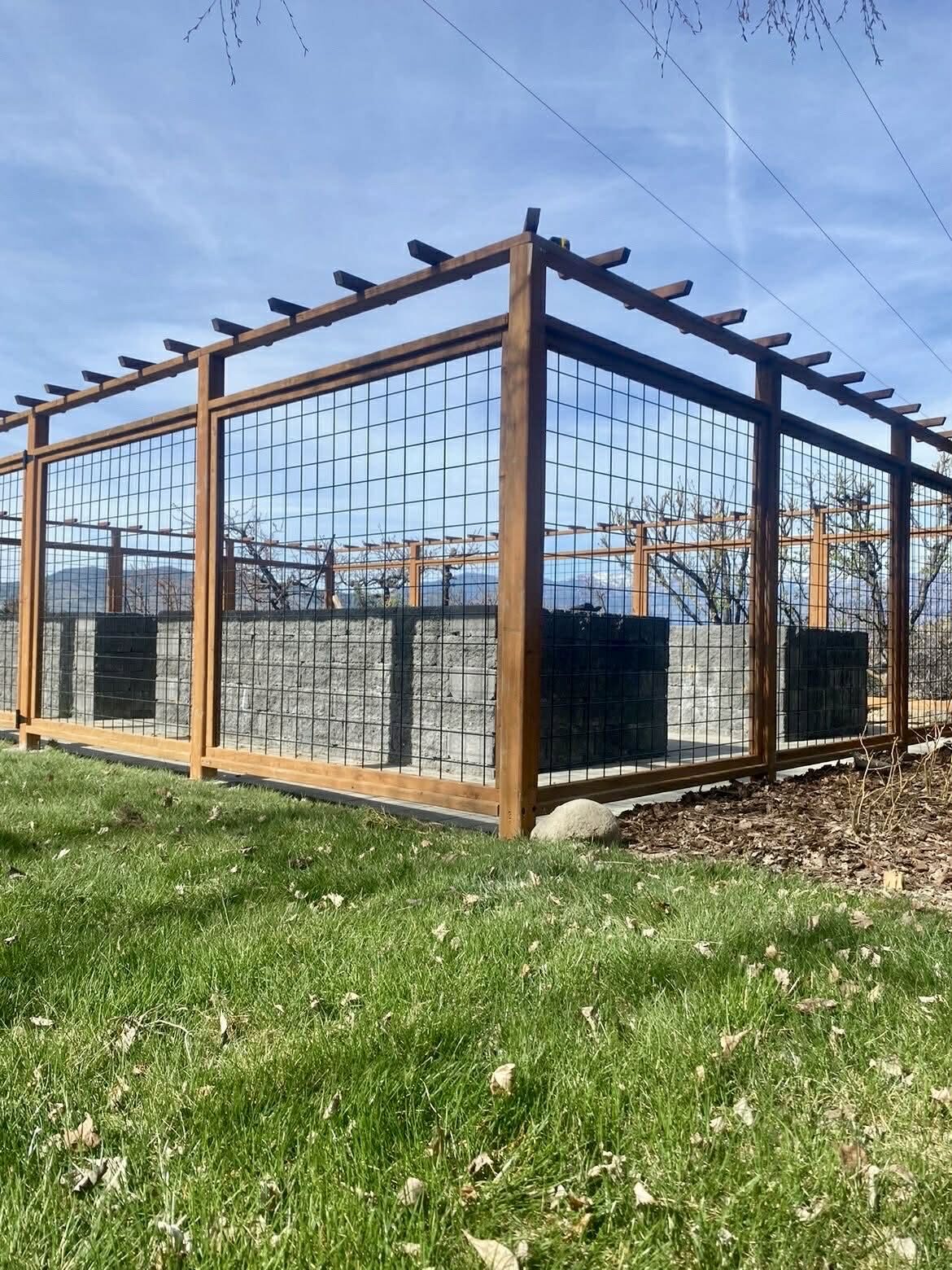 Deer proof garden enclosure with hog wire panels and a cedar pergola top in Chelan